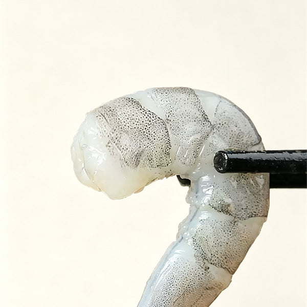 Frozen Raw Peeled Shrimp Meat
